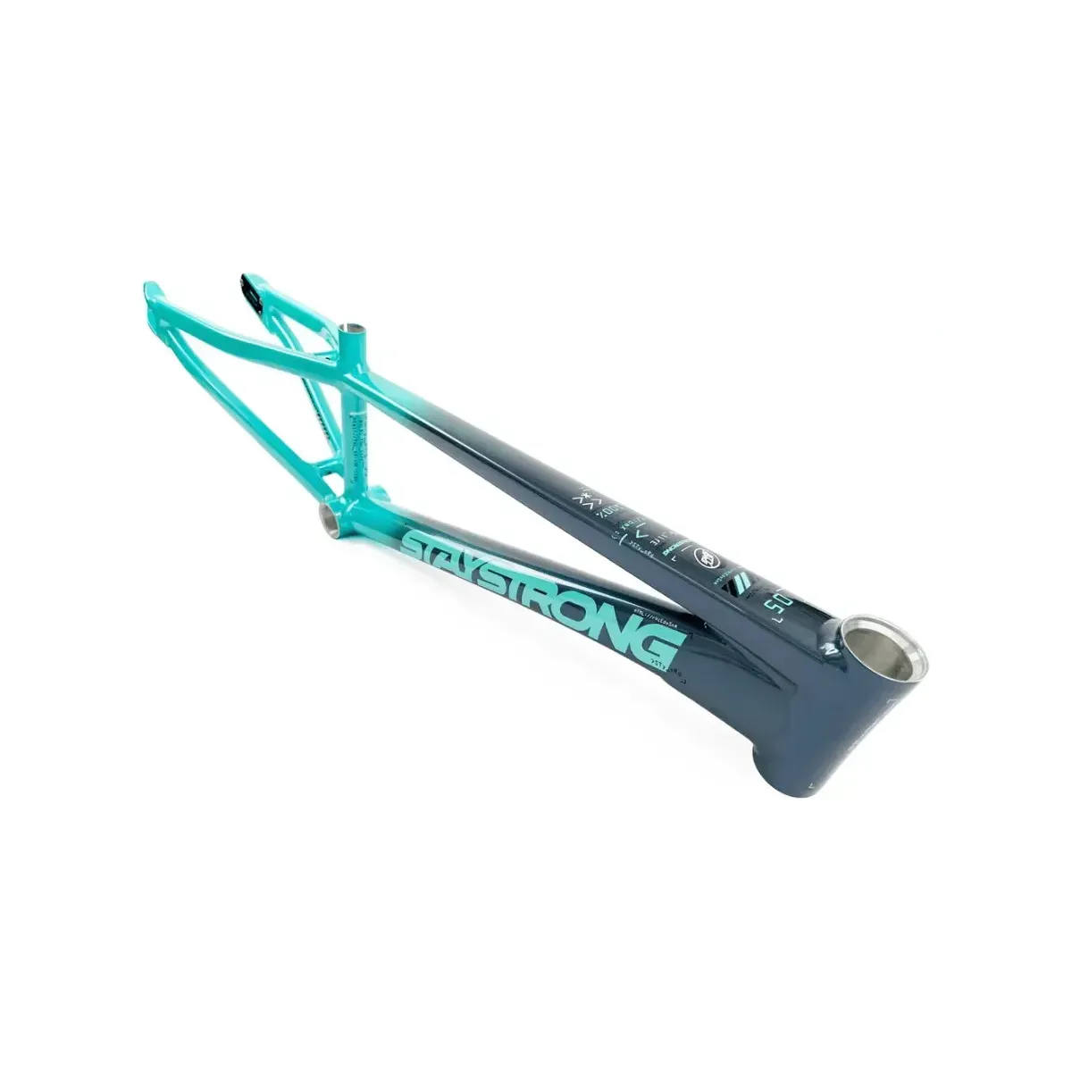 Stay Strong V5 2024 Disc Only Frame Charcoal/Mint